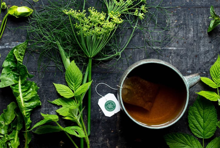 Curious About Herbalism? Here's How You Can Harness The Power Of Plants